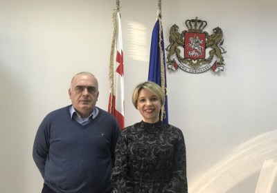 Public Defender Meets with Vazha Gaprindashvili