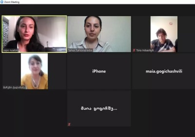 Information Meetings with Members of Shida Kartli Gender Equality Council