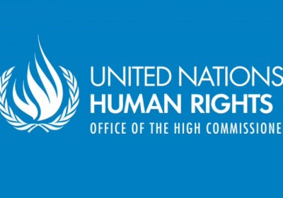 Public Defender Submits Information about Human Rights Situation on Georgia’s territory to OHCHR 