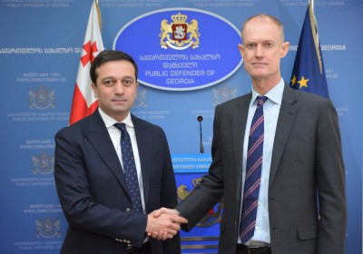 Public Defender Meets with UNDP Resident Representative in Georgia