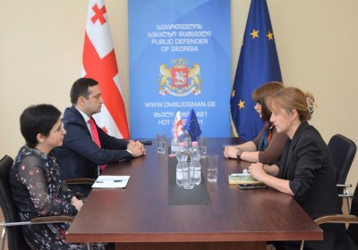 Meeting with Deputy Minister of IDPs from Occupied Territories, Labour, Health and Social Affairs
