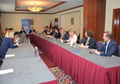 Meeting with Council of Europe Partner Projects