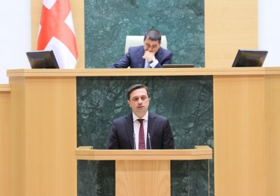 Xalq Müdafiəçisi Gürcüstan parlamentinin plenar iclasında 2023-cü il üçün parlament hesabatını təqdim edib