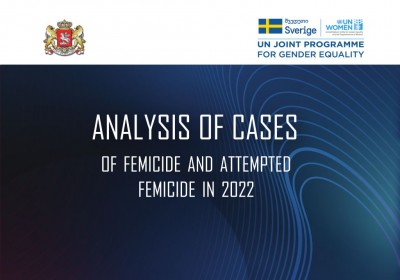 Analysis of Femicide and Attempted Femicide Cases - 2022