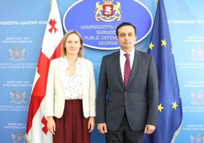 Meeting with Deputy Ambassador of EU Delegation to Georgia