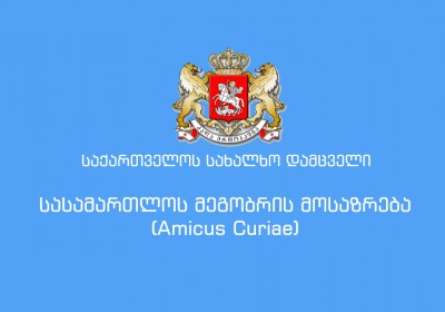 სასამართლოს მეგობრის (Amicus Curiae)  მოსაზრება გარემოს შესახებ ინფორმაციის ხელმისაწვდომობის მნიშვნელობასთან დაკავშირებით