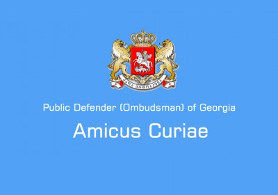 Amicus Curiae Brief on Importance of Access to Environmental Information