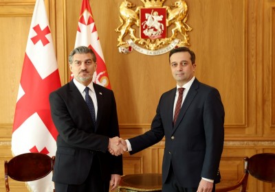 Xalq Müdafiəçisi Gürcüstan Prezidenti ilə görüşüb