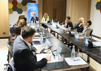 Meeting of Consultative Council for Monitoring Promotion, Protection and Implementation of CRPD 