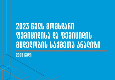 Analysis of Femicide and Attempted Femicide Cases - 2023