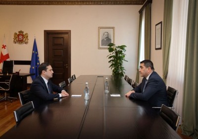 Public Defender Meets with Chairman of Parliament 