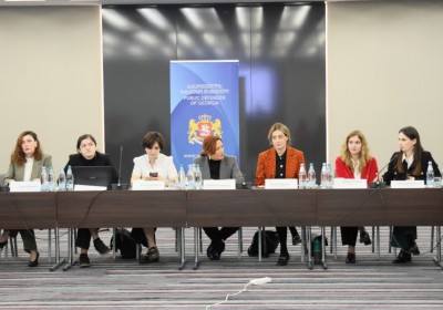 Working Meeting on Systemic Challenges and Ways for Improving Protection of Children's Rights in General Education Institutions