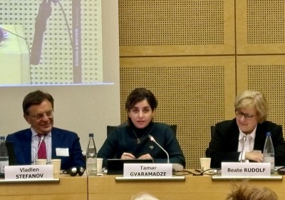 First Deputy Public Defender Participates in Discussion on Implementation of Recommendations of Committee of Ministers of Council of Europe