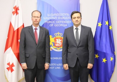 სახალხო დამცველი საქართველოში აშშ-ს ელჩის დროებით მოვალეობის შემსრულებელს შეხვდა