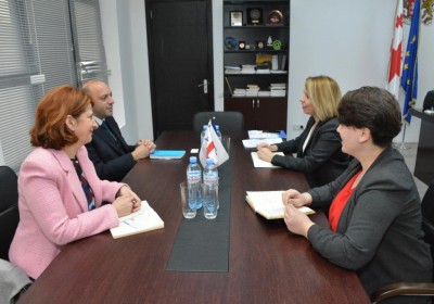 Public Defender Meets with UNICEF Representative in Georgia