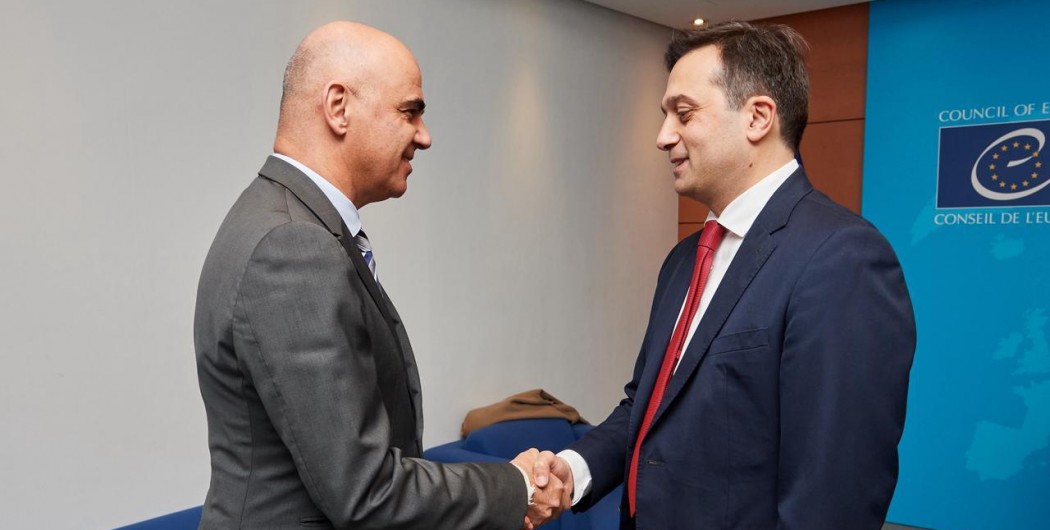 Public Defender Meets with Secretary General of Council of Europe