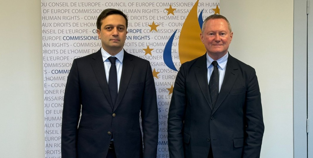 Public Defender Meets with Council of Europe Commissioner for Human Rights