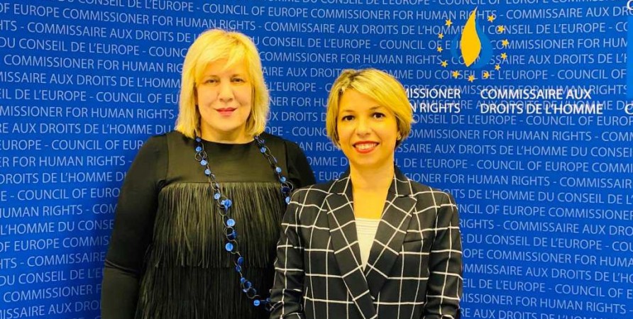 Public Defender Meets with Council of Europe Commissioner for Human Rights