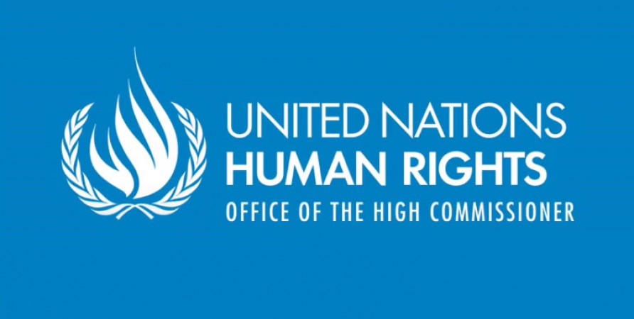 Public Defender Submits Information about Human Rights Situation on Georgia’s territory to OHCHR 