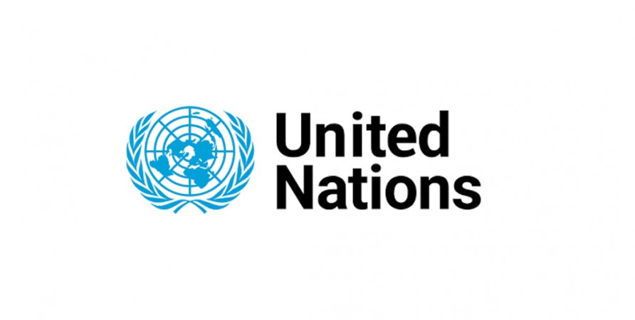 Public Defender Submits Alternative Report to UN Committee on the Rights of Persons with Disabilities