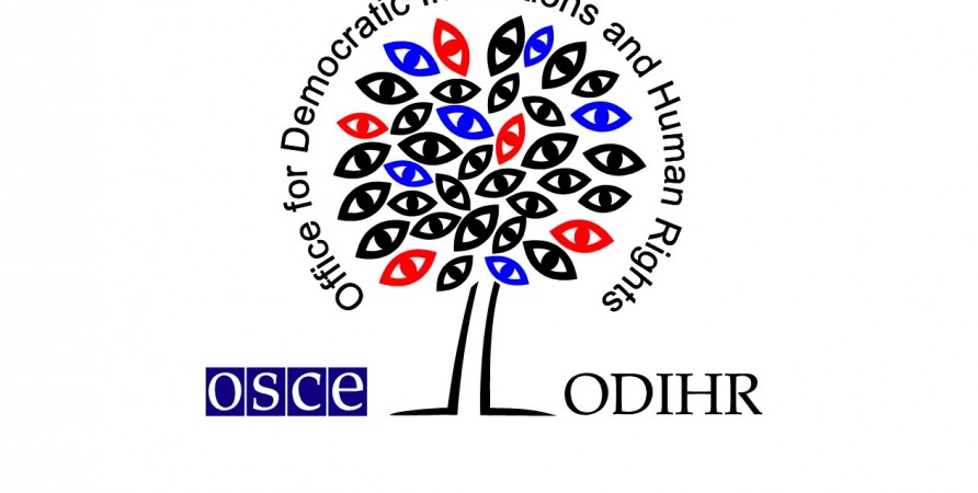 Public Defender Applies to OSCE/ODIHR to Prepare Legal Opinion on Amendments to Law on Assemblies and Demonstrations