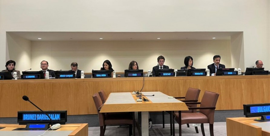 First Deputy Public Defender Participates in UN OEWG Session 