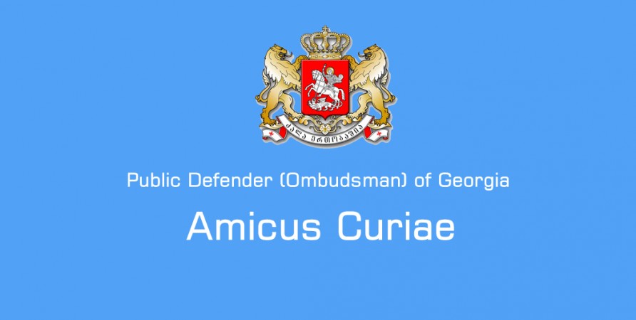 Public Defender Files Amicus Curiae Brief relating to Alleged Disability-Based Discrimination 