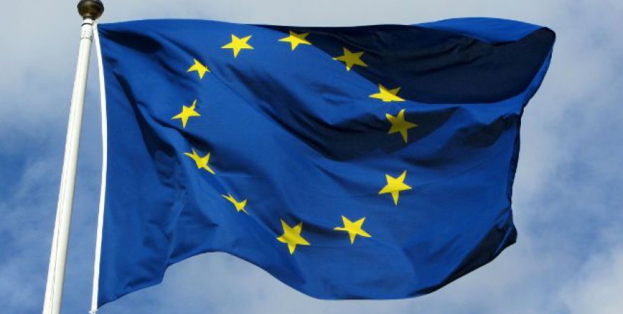 Վրաստանի Ժողովրդական պաշտպանի հայտարարությունը Եվրահանձնաժողովի որոշման վերաբերյալ