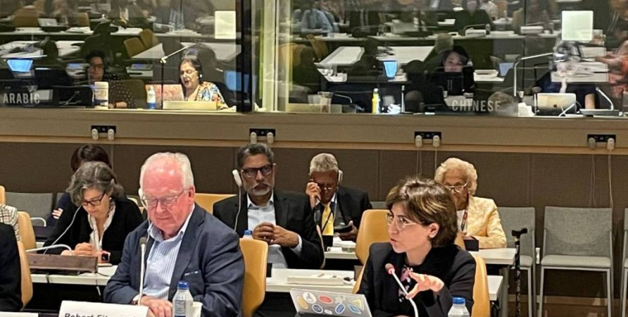 Վրաստանի Ժողովրդական պաշտպանի առաջին տեղակալը մասնակցել է ծերացման հարցերով ՄԱԿ-ի բաց աշխատանքային խմբի 14-րդ նիստին