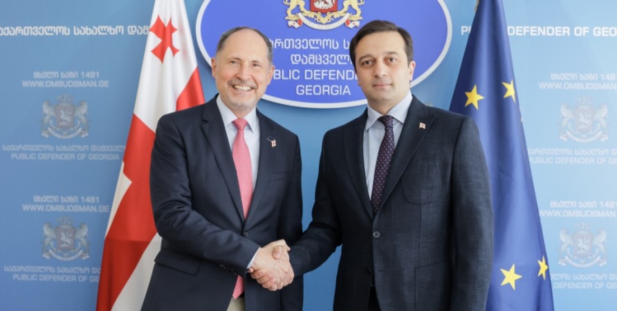 Public Defender Meets with EU Ambassador to Georgia