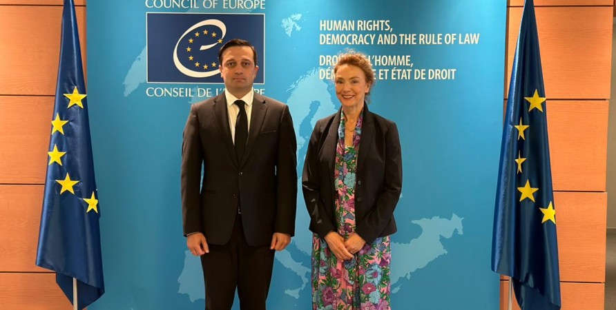 Public Defender of Georgia Meets with Secretary General of Council of Europe