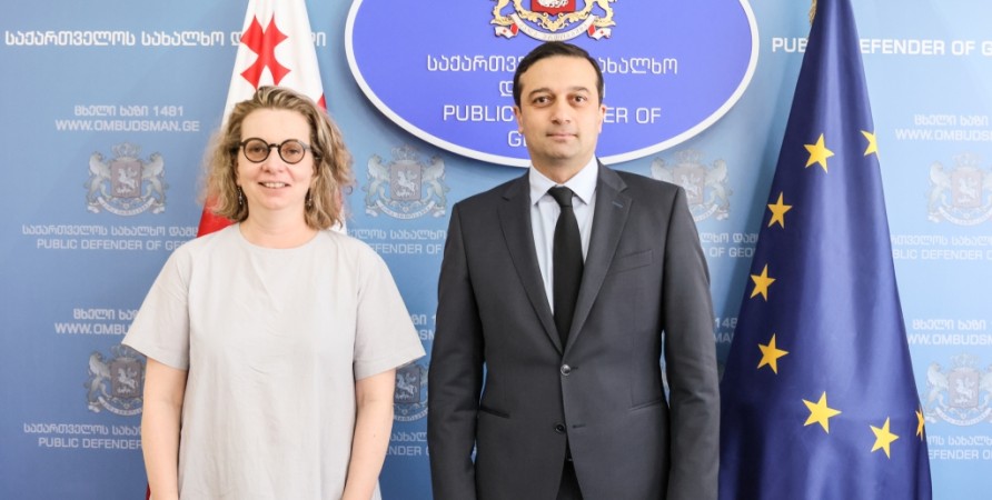 Meeting with Head of Council of Europe Office in Georgia