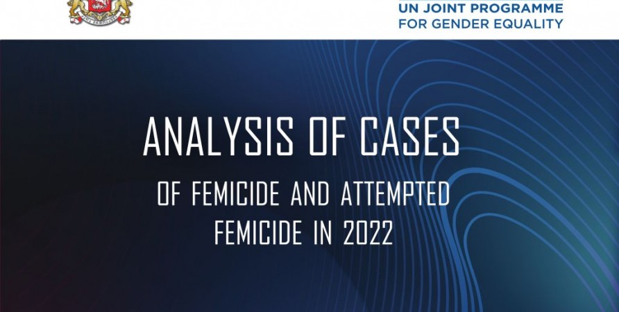 Analysis of Femicide and Attempted Femicide Cases - 2022