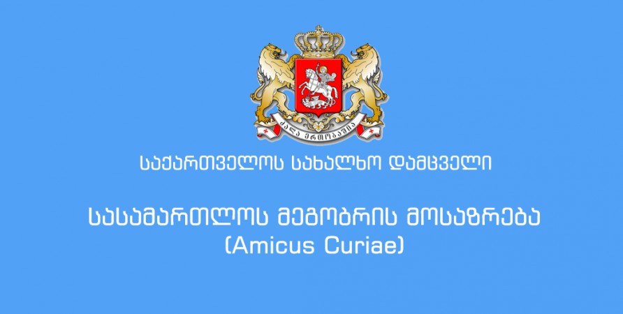 სასამართლოს მეგობრის (Amicus Curiae)  მოსაზრება გარემოს შესახებ ინფორმაციის ხელმისაწვდომობის მნიშვნელობასთან დაკავშირებით