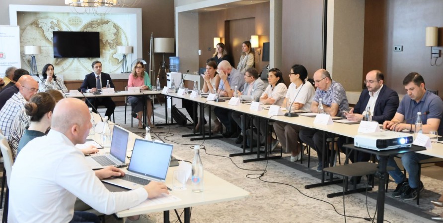 Psixi Sağlamlığın Sistemli Problemləri və İnstitusional Aspektləri üzrə iş görüşməsi