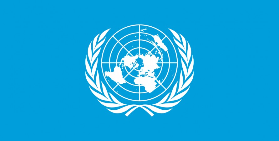 Public Defender Submits Report to UN Universal Periodic Review Working Group