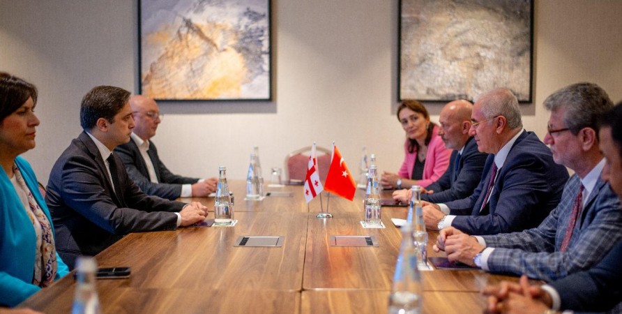 Gürcüstanın Xalq Müdafiəçisi Türkiyə Respublikasının Baş Ombudsmanı ilə görüşüb