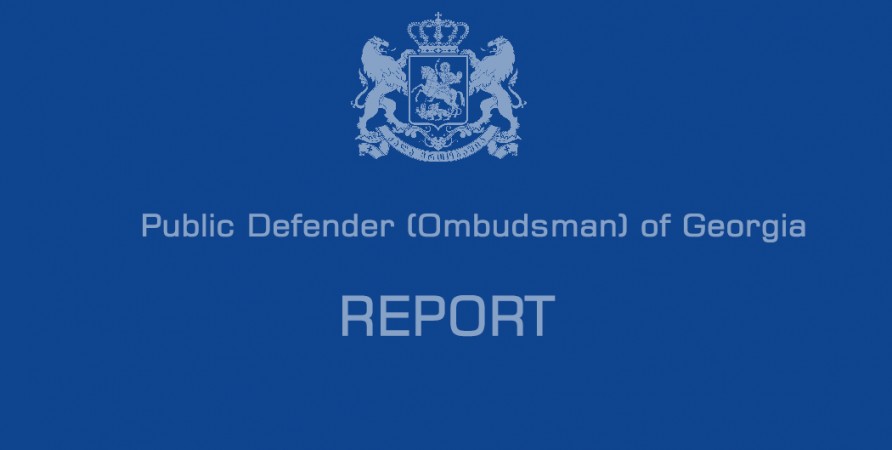 2024 Report of Public Defender’s National Preventive Mechanism
