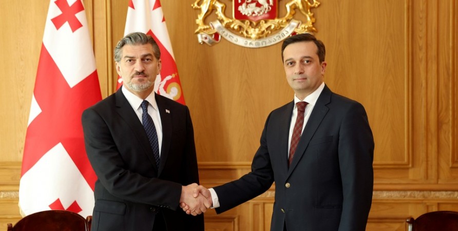 Xalq Müdafiəçisi Gürcüstan Prezidenti ilə görüşüb