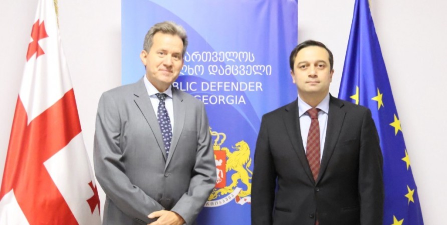 Public Defender Meets with UNICEF Country Representative in Georgia