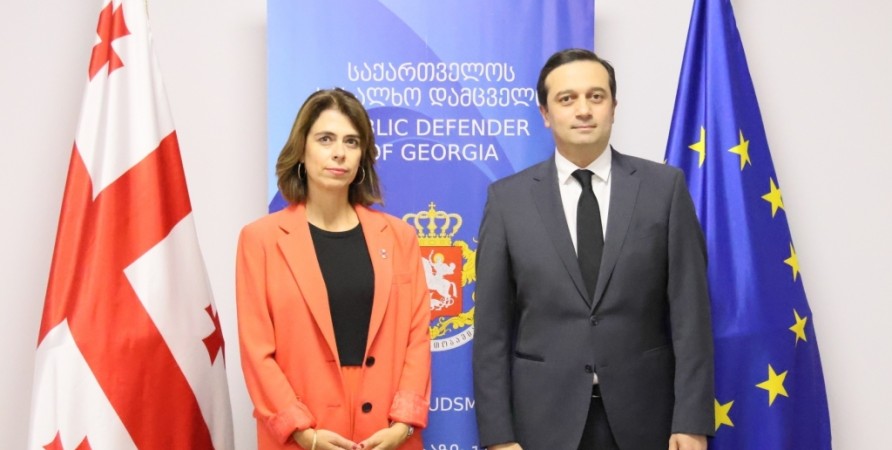 Վրաստանի Ժողովրդական պաշտպանը հանդիպել է ՄԱԿ-ի կանանց գրասենյակի տարածաշրջանային տնօրենի հետ