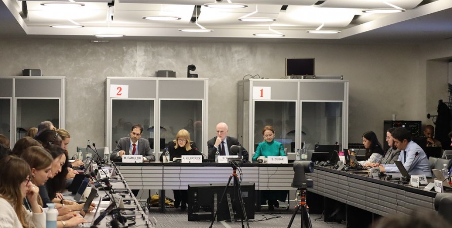 First Deputy Public Defender Talks in Geneva about Public Defender’s Role in Protecting Civil Society and Democratic Space 