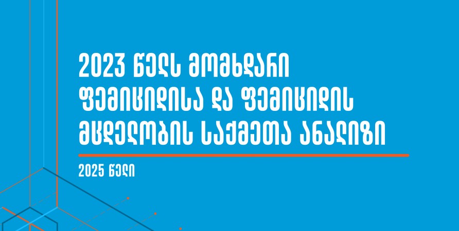 Analysis of Femicide and Attempted Femicide Cases - 2023