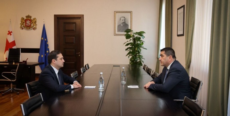 Public Defender Meets with Chairman of Parliament 