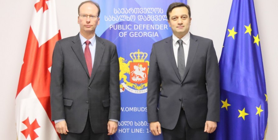 სახალხო დამცველი საქართველოში აშშ-ს ელჩის დროებით მოვალეობის შემსრულებელს შეხვდა