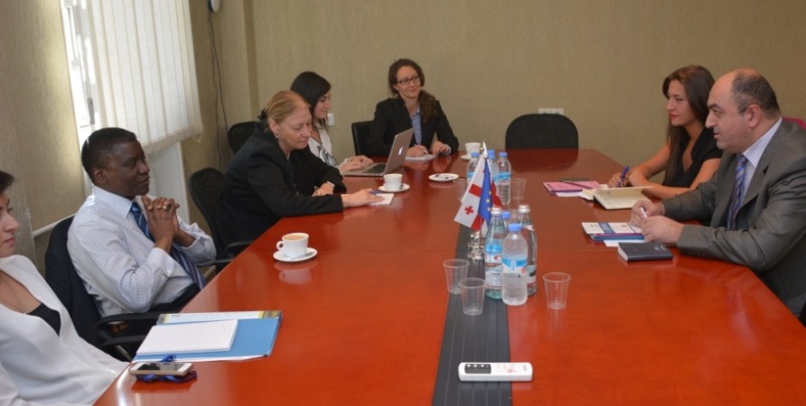 Public Defender Meets with UN Special Rapporteur on Human Rights of Internally Displaced Persons