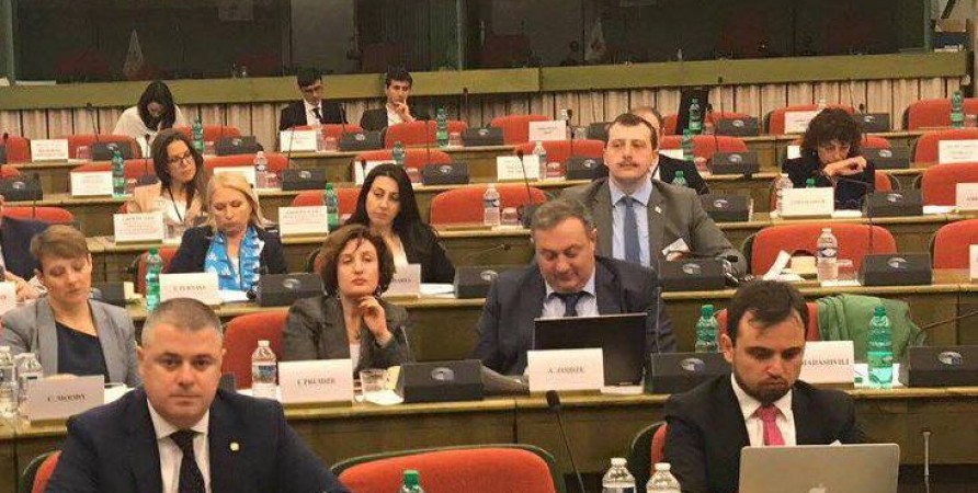 Deputy Public Defender Delivers Report at EU-Georgia Parliamentary Association Committee
