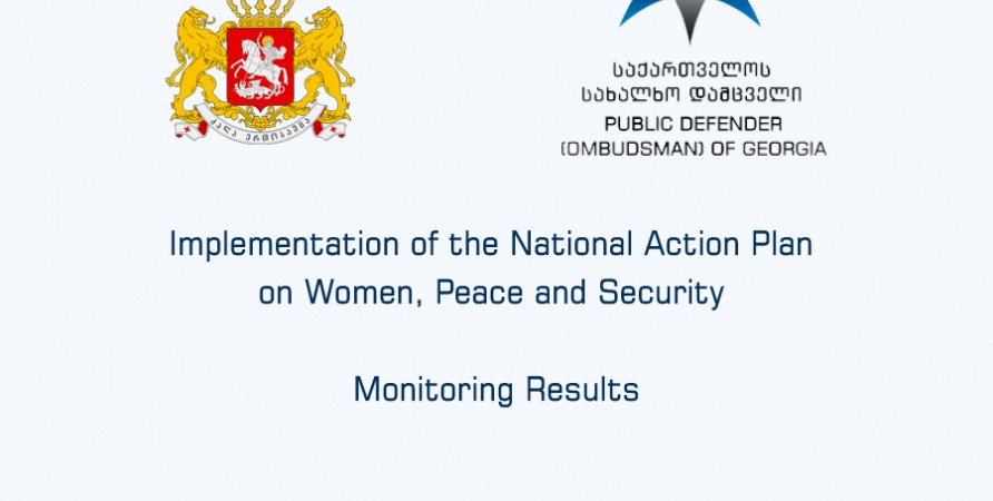 Implementation of the National Action Plan on Women, Peace and Security – Results of Monitoring