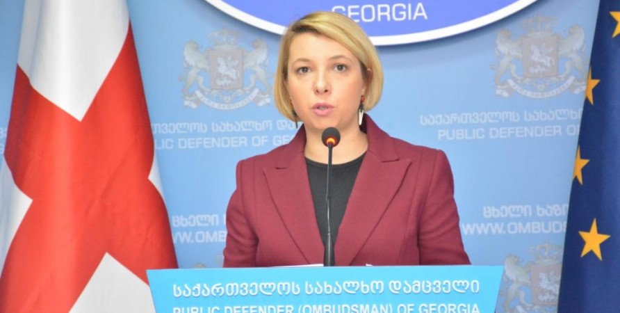 Public Defender Reviews Human Rights Situation in Georgia in 2018 at Summarizing Press Conference 