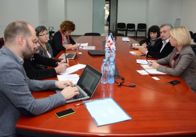 Public Defender Meets Members of Council of Europe Delegation